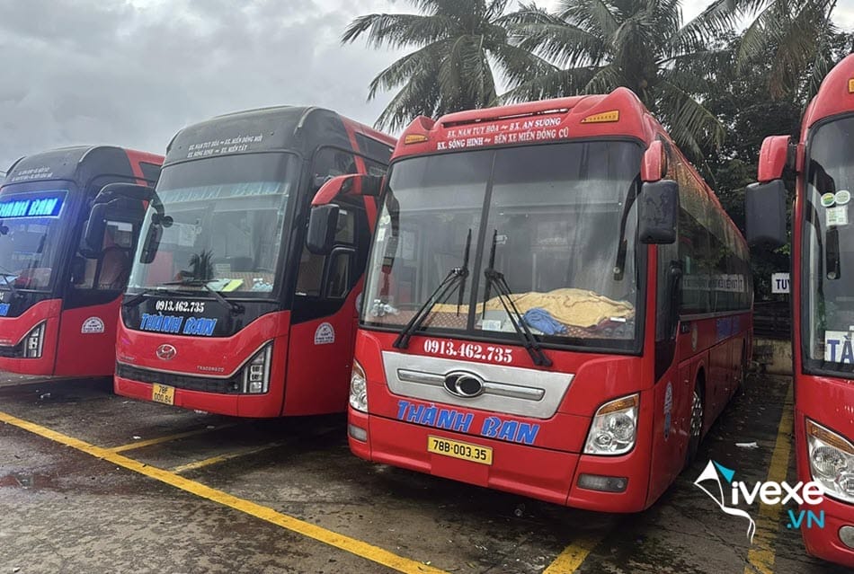 Hãng xe khách Thành đi Biên Đồng Nai từ Sài Gòn