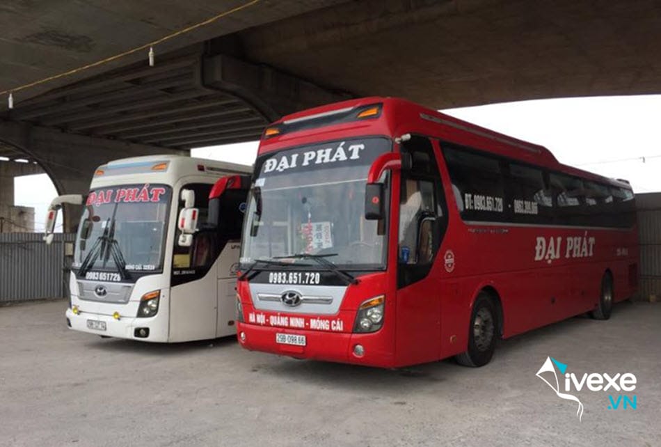 Nhà xe Đại Phát bến xe Gia Lâm đi Quảng Ninh uy tín nhất
