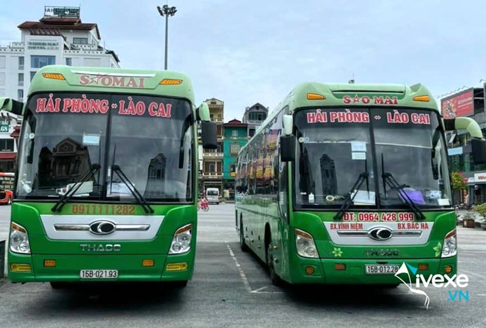 Nhà xe Sao Mai từ bến xe Vĩnh Niệm đi Lào Cai an toàn