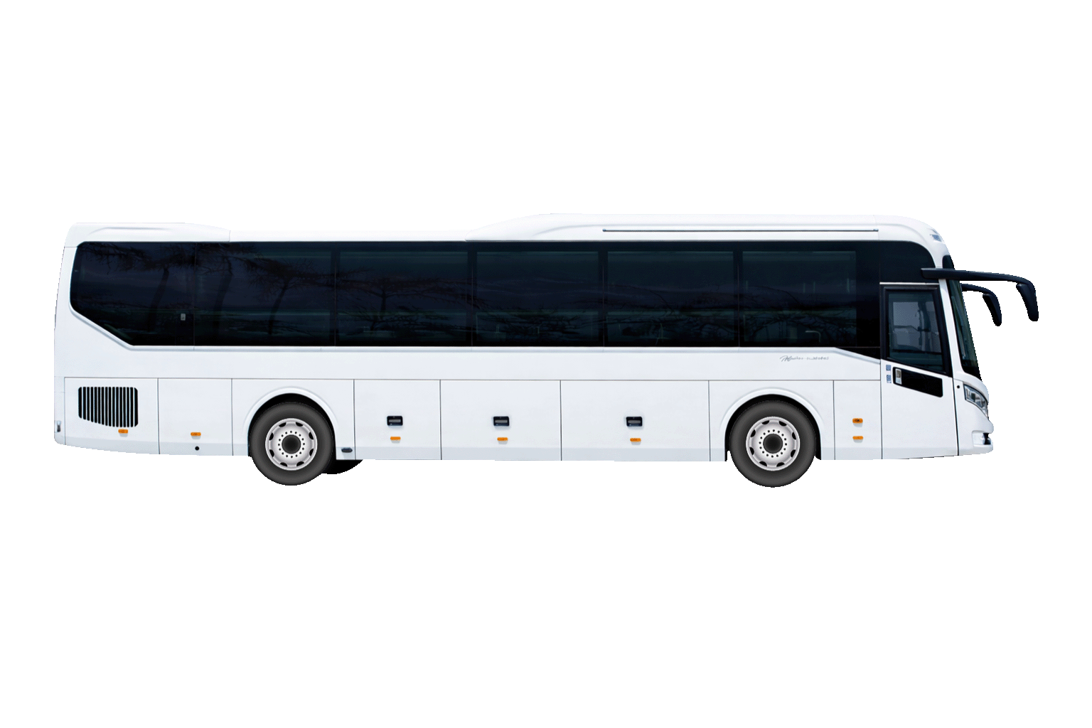 bus