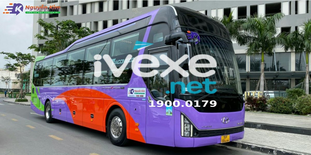 Nhà xe Nguyễn Kim Limousine