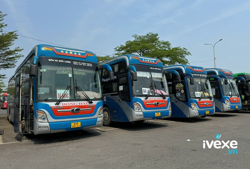 Hồng Hải
