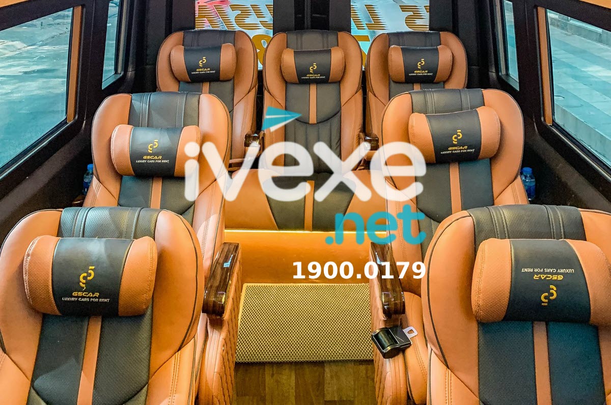 Nội thất xe ghế Limousine 12 chỗ