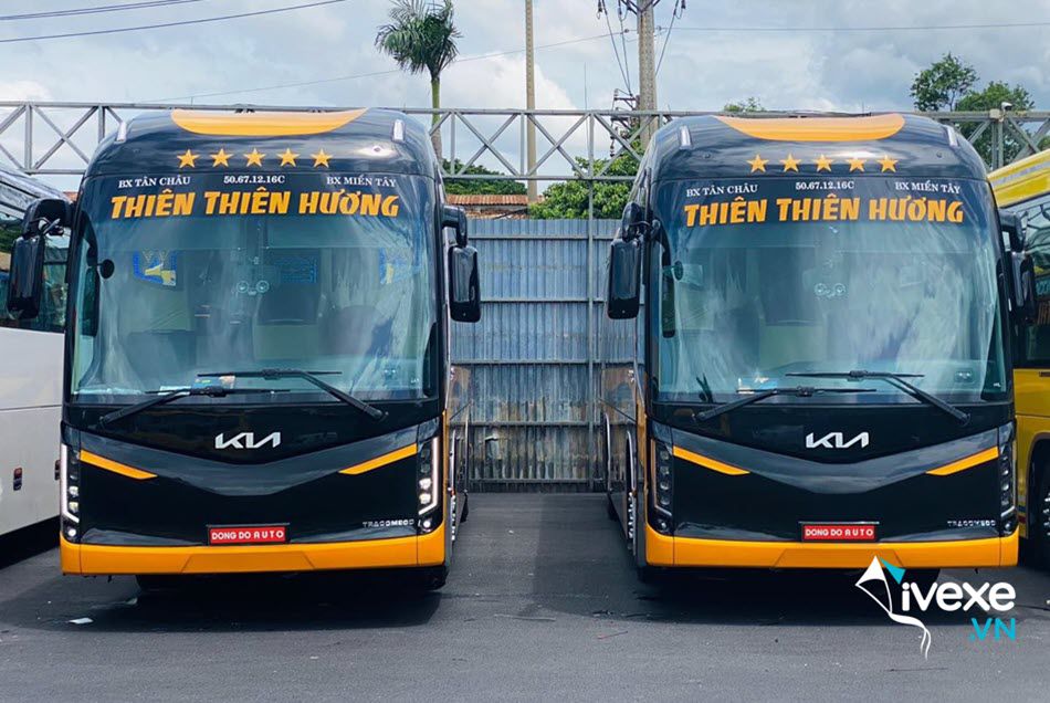 Nhà xe Thiên Thiên Hương Tân Châu đi Sài Gòn uy tín nhất hiện nay
