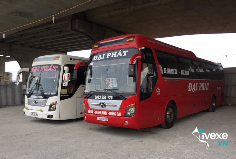 Nhà xe Đại Phát Hà Nội đi Quảng Ninh uy tín nhất