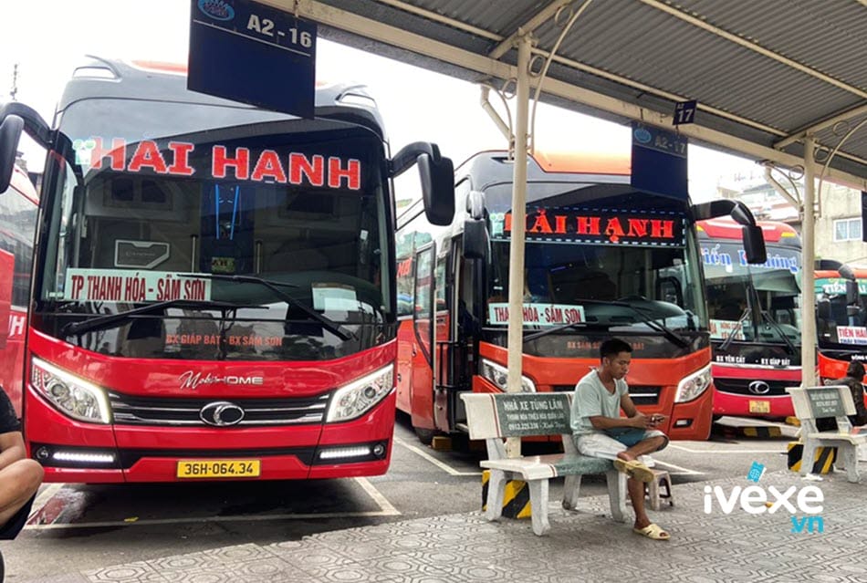 Hải Hạnh