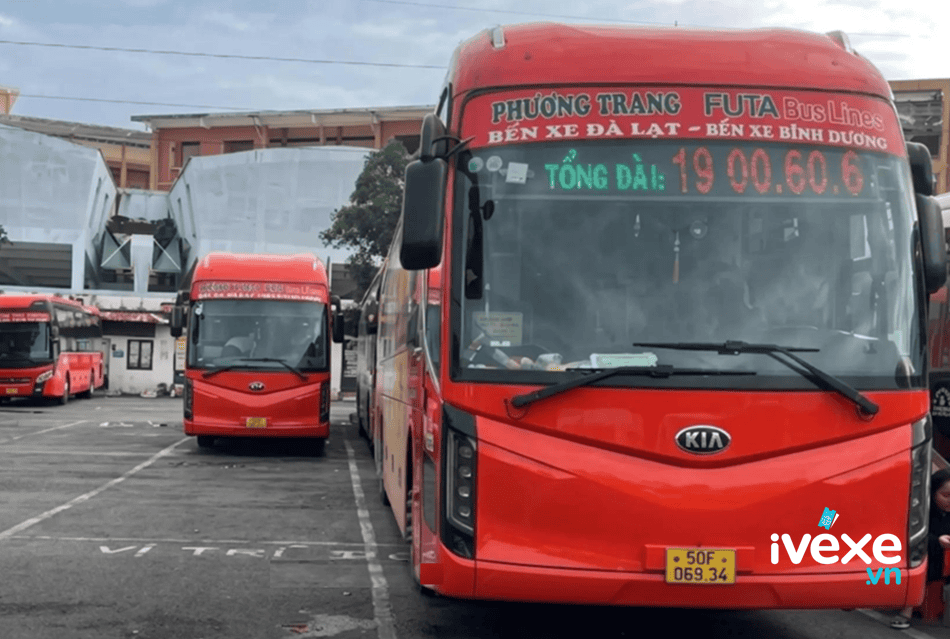 Nhà xe Phương Trang Bình Dương đi các tỉnh uy tín