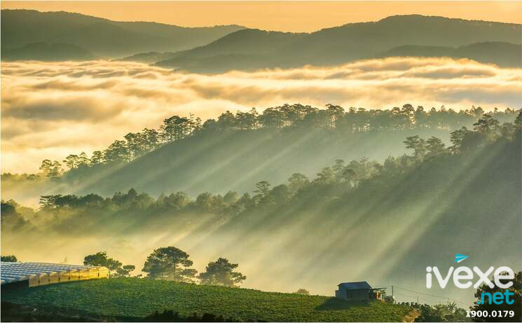 Tuyến Bảo Lộc - Lâm Đồng đi Đà Nẵng chất lượng