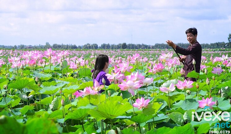 Thông tin về tuyến Tây Ninh đi Đồng Tháp chất lượng