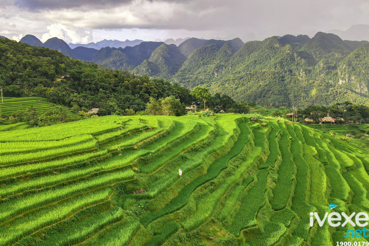 Thông tin về tuyến Vinh - Nghệ An đi Thanh Hóa chất lượng