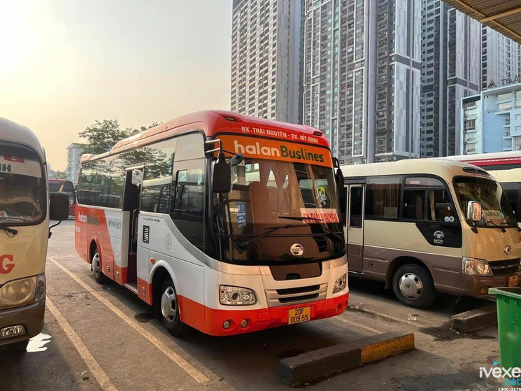 Nội thất Halan Buslines