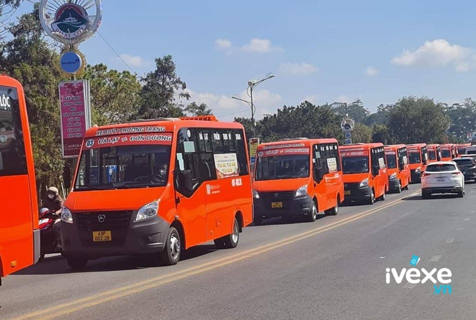 Dịch vụ xe buýt Phương Trang Đà Lạt Lâm Đồng