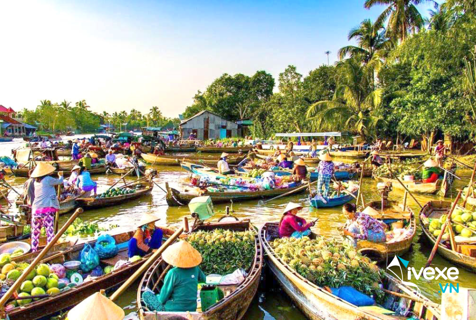 Đặt vé xe khách Sài Gòn đi Cần Thơ | Top 04 nhà xe giá tốt nhất