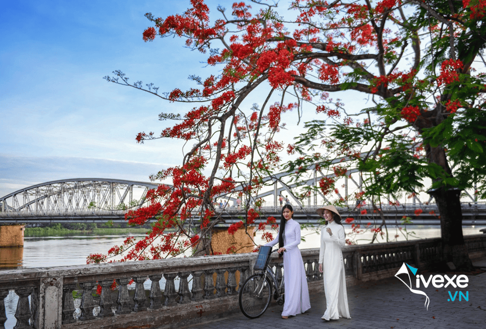Thông tin chi tiết tuyến xe Limousine Hà Nội đi Huế