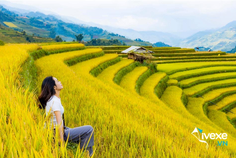 Tổng hợp tuyến xe khách Hà Nội đi Yên Bái chất lượng nhất
