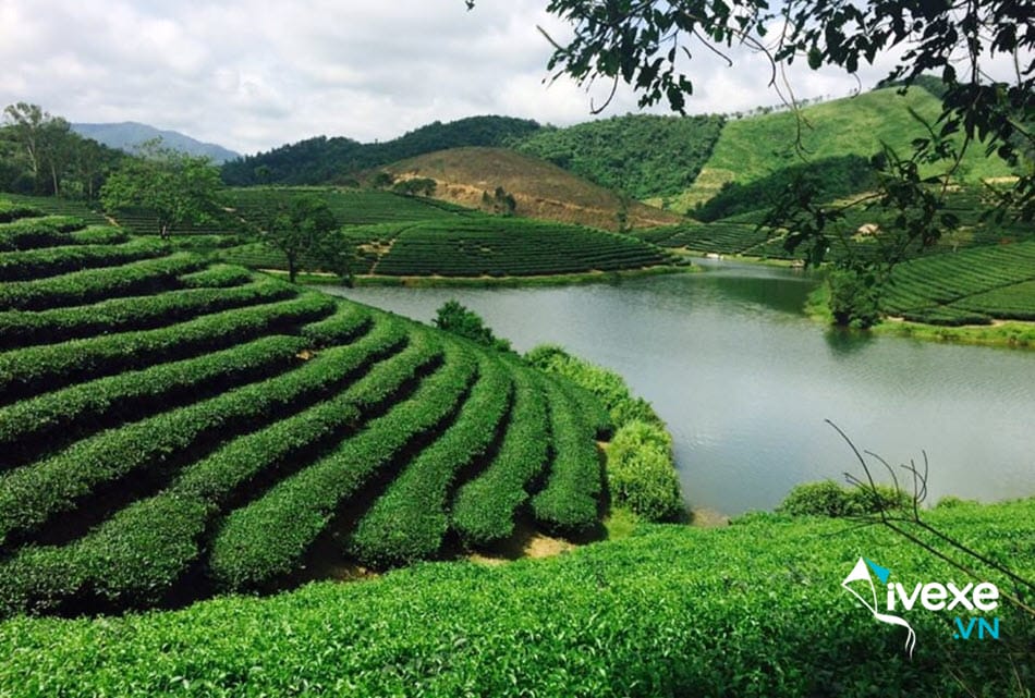 Tuyến xe khách Hà Nội đi Nghệ An chất lượng vượt trội