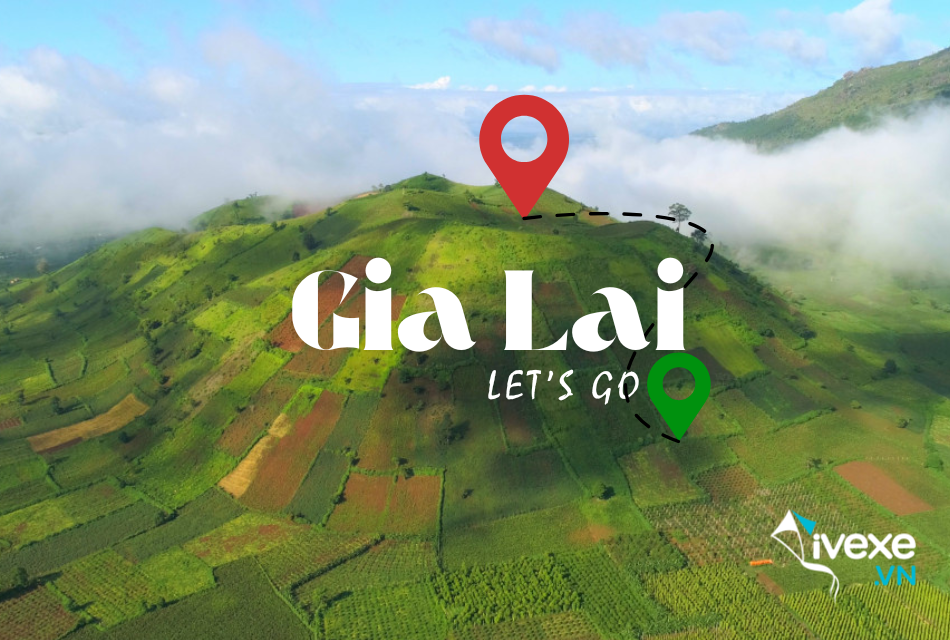 Đặt vé xe Đà Nẵng - Gia Lai: Lịch trình chi tiết, giá vé, đánh giá dịch vụ