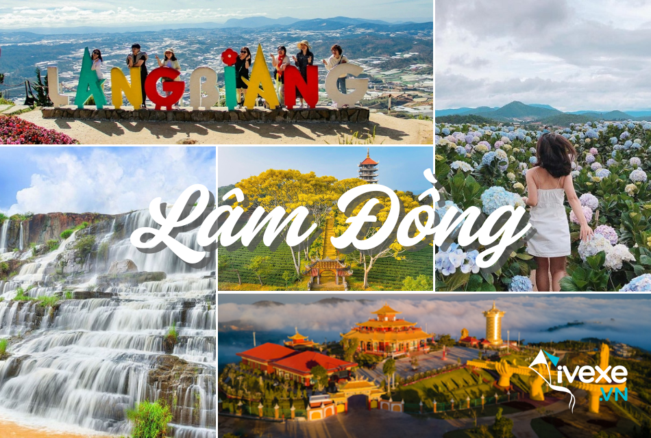 Đặt vé xe Hà Nội đi Lâm Đồng giá rẻ, nhiều lựa chọn