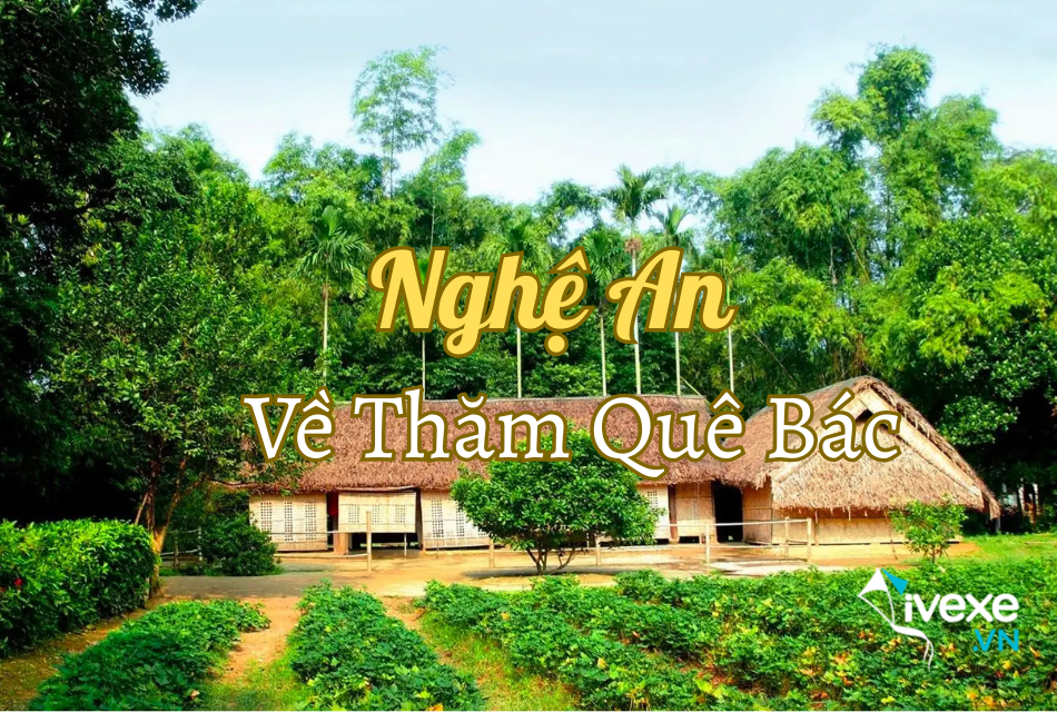 Đặt vé xe Hà Nội đi Vinh - Nghệ An giá rẻ, nhiều lựa chọn ưu đãi