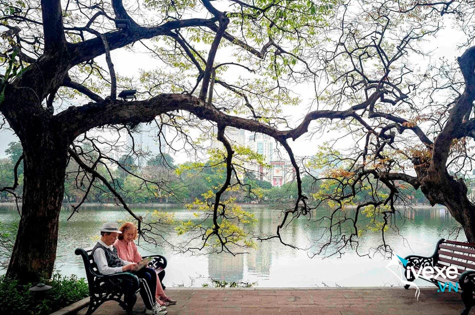Đặt vé xe Hà Tĩnh đi Hà Nội uy tín chất lượng cao
