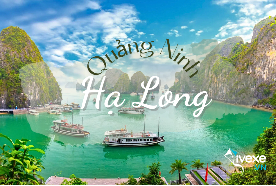 Đặt vé xe Limousine tuyến Hà Nội đi Hạ Long - Quảng Ninh nhanh chóng