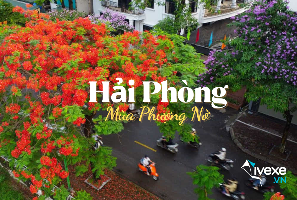 Đặt vé xe Limousine tuyến Hà Nội đi Hải Phòng giá tốt nhất