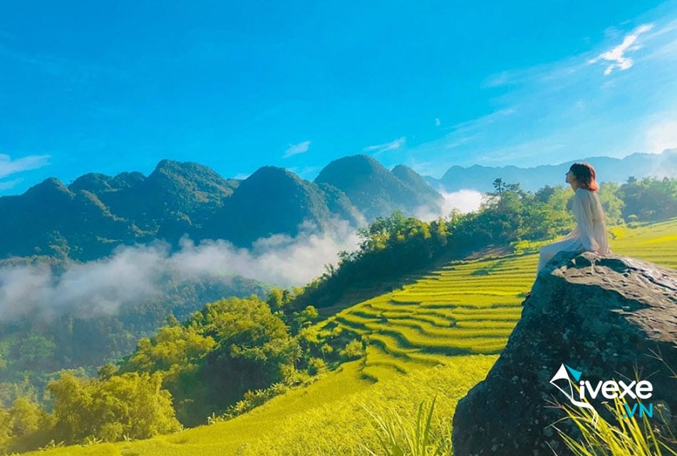Đặt vé xe Sài Gòn đi Thanh Hóa uy tín giá rẻ