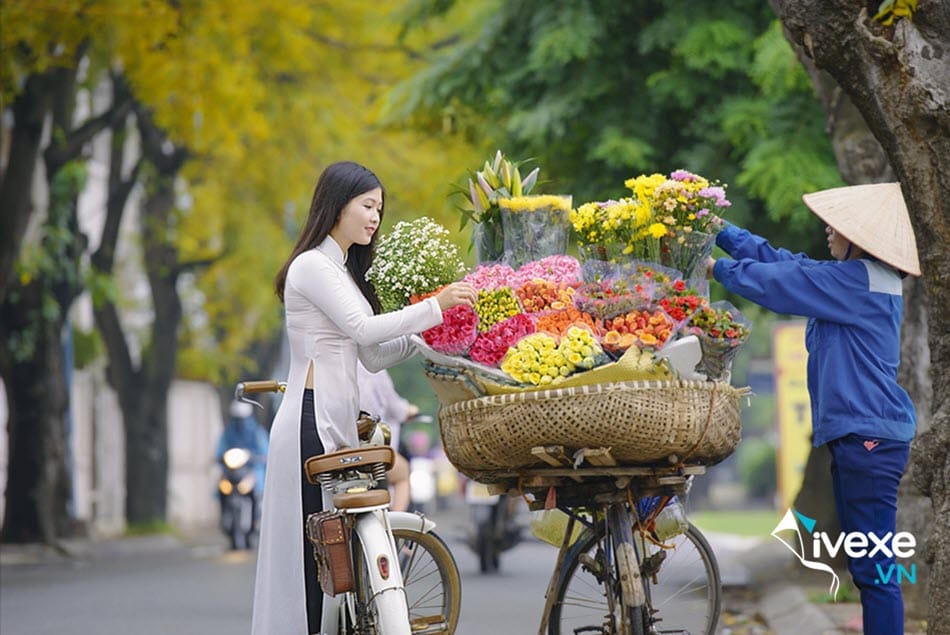 Đặt vé xe Thái Bình đi Hà Nội tiện lợi nhất hiện nay