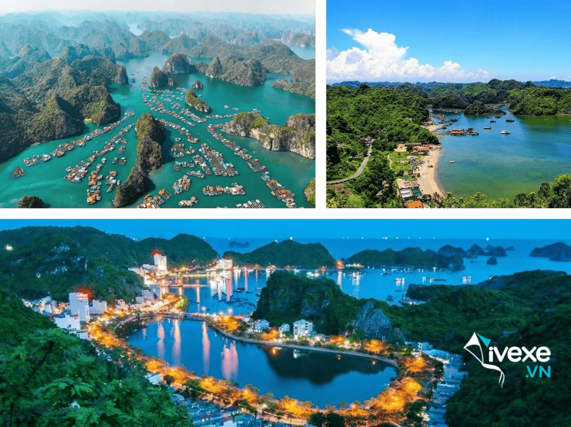 Đặt vé xe Thanh Hóa đi Hải Phòng đảm bảo uy tín an toàn