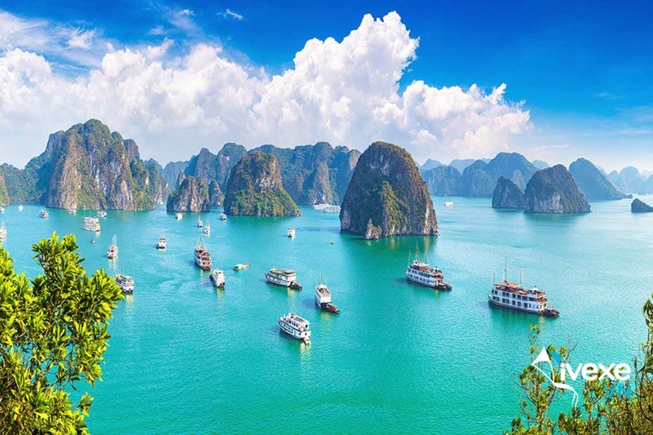 Đặt vé xe tuyến Đà Nẵng đi Quảng Ninh giá tốt