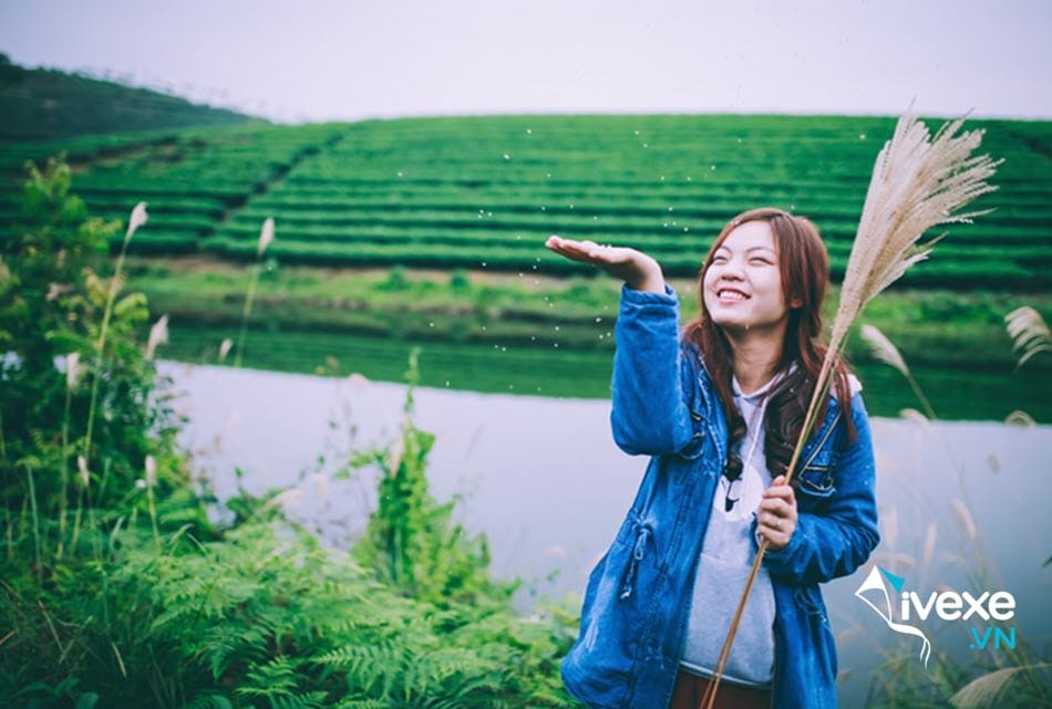 Đặt vé xe tuyến Đà Nẵng đi Vinh nhiều ưu đãi
