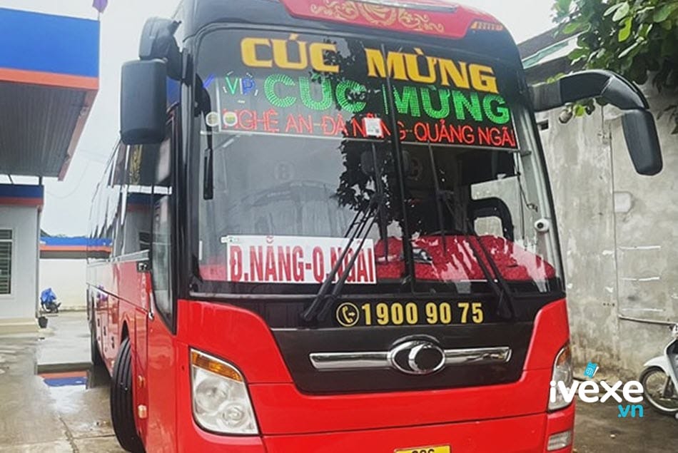 Cúc Mừng