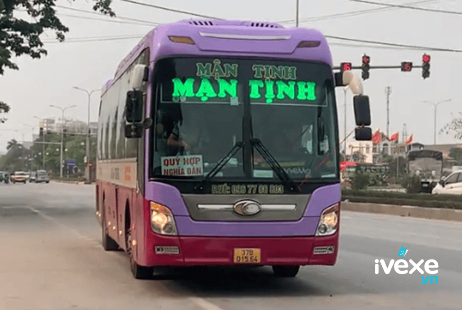 Mận Tịnh