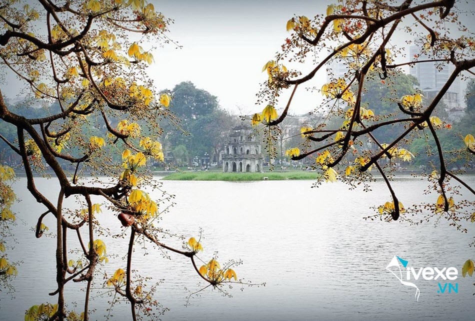 Đặt vé xe Bình Định đi Hà Nội uy tín, an toàn giá vé rẻ