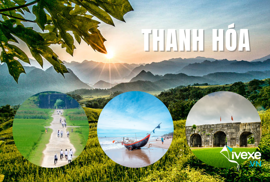 Đặt vé xe Bình Dương đi Thanh Hóa chất lượng, giá cạnh tranh