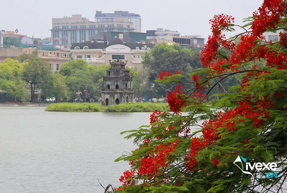 Đặt vé xe Điện Biên đi Hà Nội dễ dàng, an toàn nhiều ưu đãi nhất