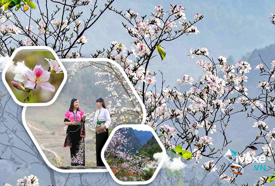 Đặt vé xe Hà Nội đi Điện Biên Phủ chất lượng giá vé ưu đãi