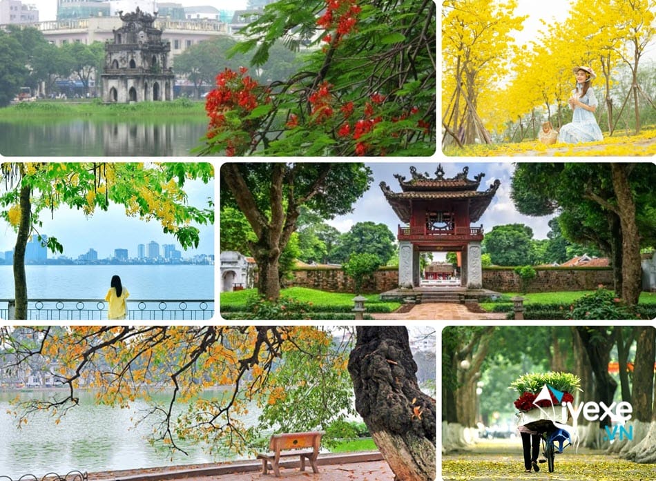 Đặt vé xe Hà Nội đi Huế - Thừa Thiên Huế giá rẻ
