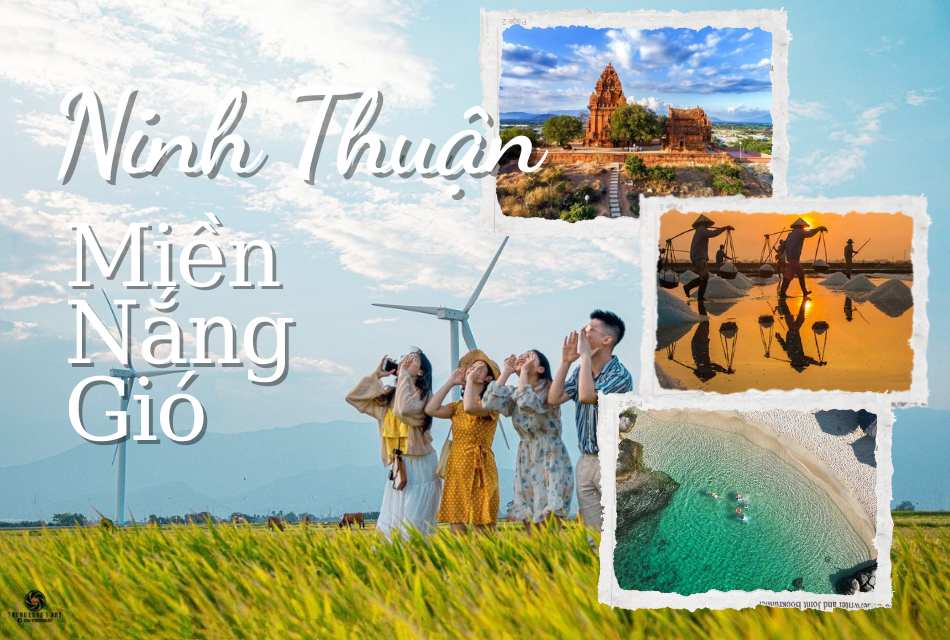 Đặt vé xe Sài Gòn đi Ninh Thuận| Cập nhật lịch trình mới nhất