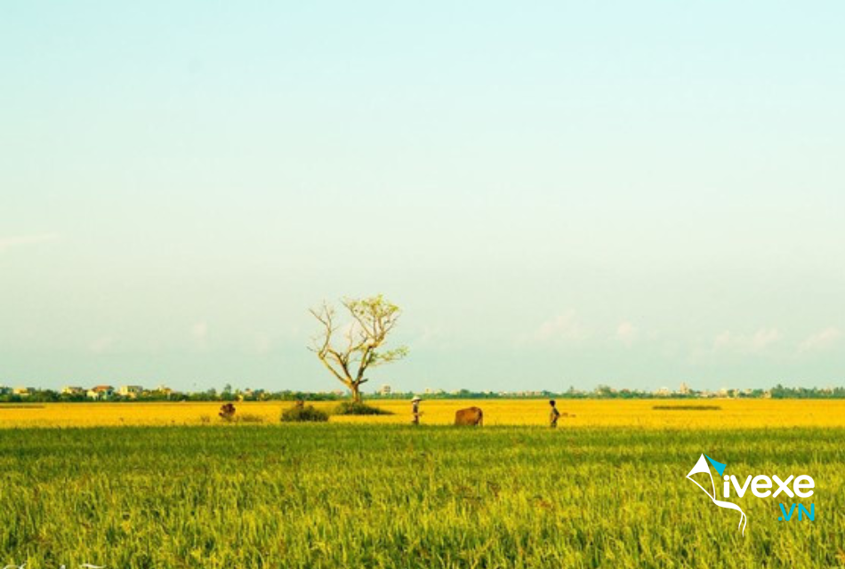 Đặt vé xe tuyến Sài Gòn đi Thái Bình giá rẻ, lịch trình chi tiết