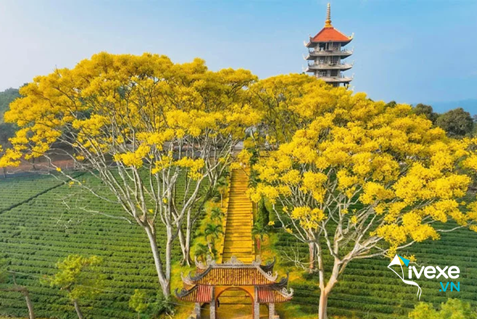 Khái quát các điểm dừng chân trên đường đi Đà Lạt