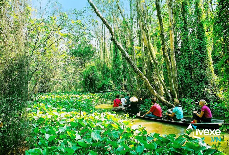 Khu di tích Xéo Quít - Điểm thăm quan nổi tiếng gần bến xe khách Cao Lãnh