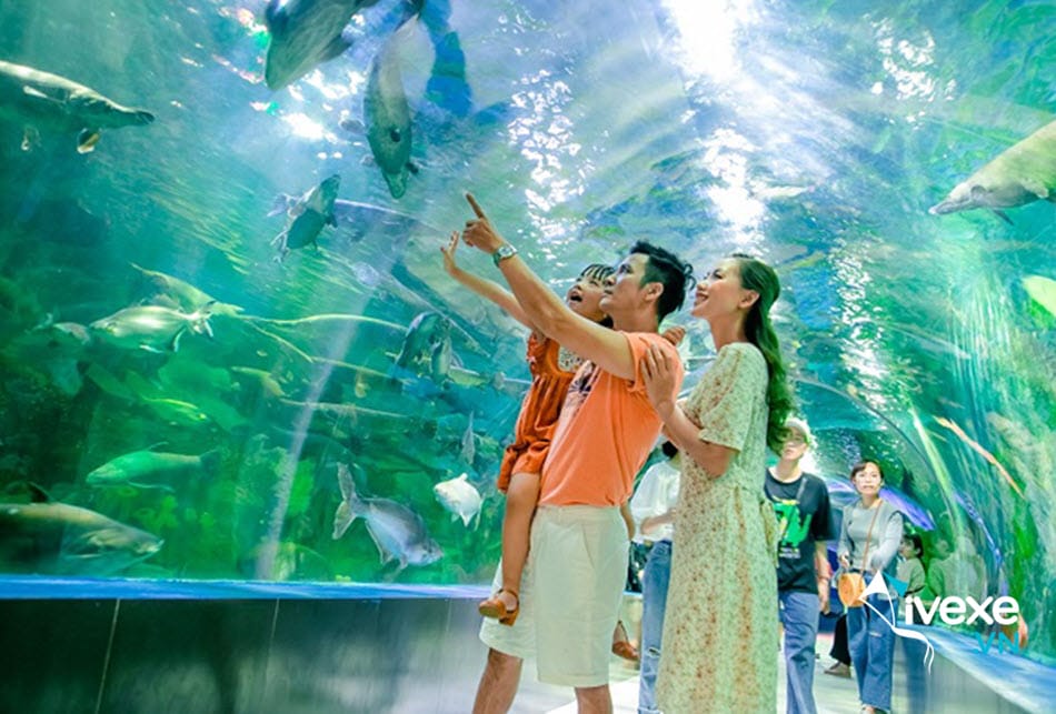 Viện Hải Dương Học Nha Trang - Điểm thăm quan thu hút khách