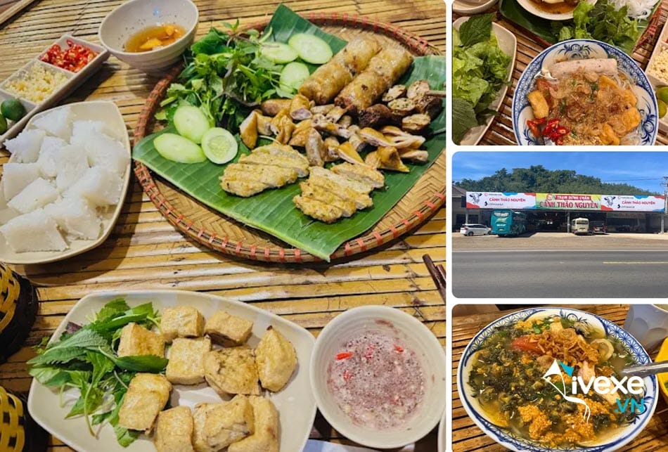 Cảnh Thảo Nguyên - Đồng Nai - Điểm dừng chân trên Quốc lộ 20