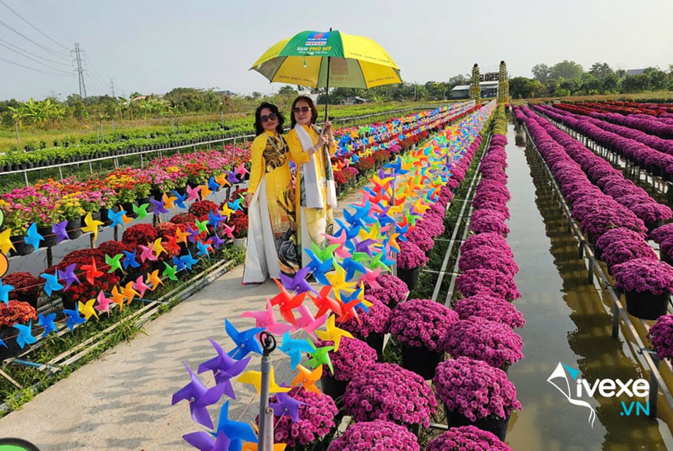 Nét đẹp của Làng hoa Sa Đéc Tân Quy Đông