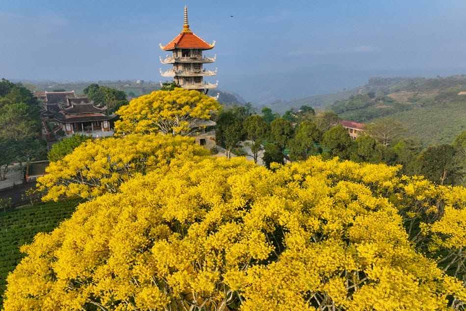 Cà Mau - Đà Lạt