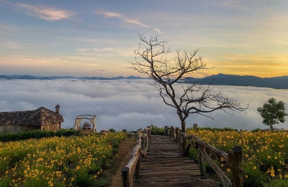 Nha Trang - Đà Lạt