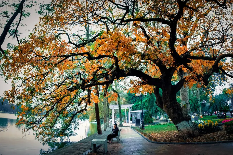 Nét quyến rũ của Hồ Gươm vào mùa thu