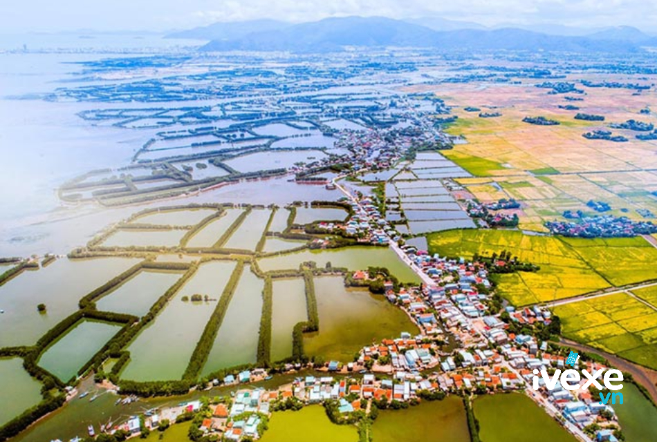 Vé xe Hàm Thuận Nam đi Tuy Phước - Bình Định