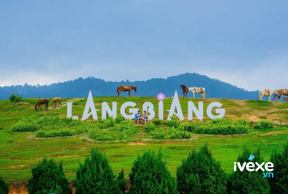 Vé xe từ Chư Sê - Gia Lai đi Đà Lạt - Lâm Đồng mới nhất